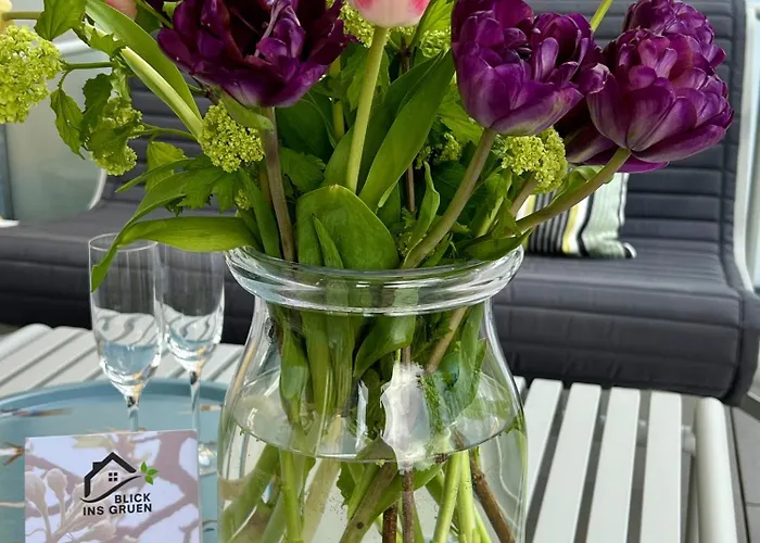 Appartement Blickinsgruen Friedrichshafen